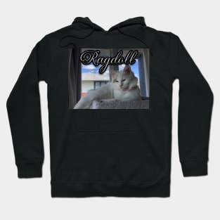 Ragdoll Hoodie